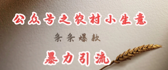 【16980】deepseek写农村小项目，条条爆款，暴力引流