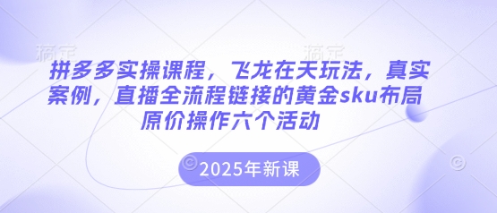 【17172】拼多多实操课程，飞龙在天玩法，真实案例，直播全流程链接的黄金sku布局原价操作六个活动