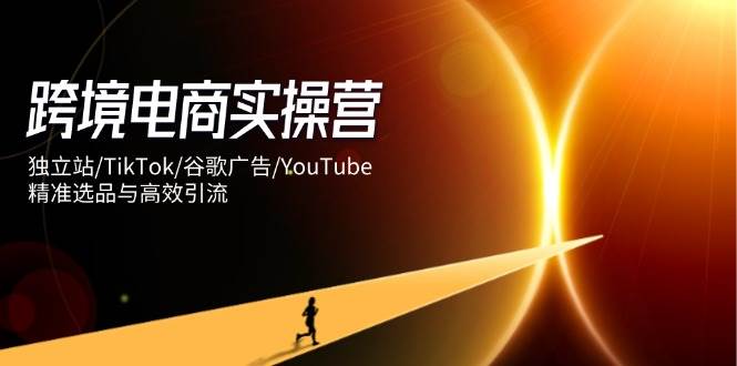 【17454】交个朋友跨境电商实操营：独立站TikTok谷歌广告YouTube，精准选品与高效引流
