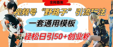 【17468】视频号“野路子”玩法，评论区疯狂截流，一套模板单日单号引流50+创业粉