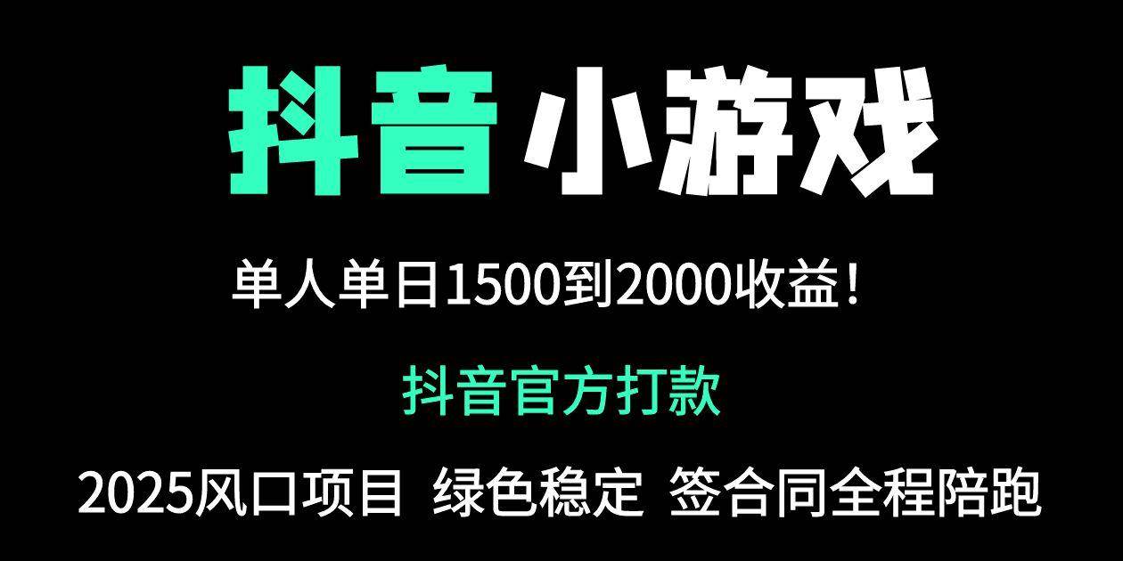 【17626】抖音官方小游戏2025全网最新玩法，暴利赚钱项目，单机日入2000+