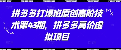 【17659】叮当会拼多多打爆班原创高阶技术第43期，拼多多高价虚拟项目