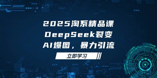 【17703】2025 淘系精品课，DeepSeek 裂变，AI 爆图，暴力引流