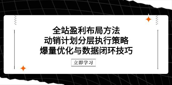 【17820】秋秋无界全站盈利布局方法：动销计划分层执行策略，爆量优化与数据闭环技巧