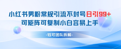 【17888】小红书男粉常规引流不封号日引99+变现简单 可矩阵可复制小白容易上手