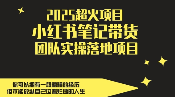 【17895】2025超火项目，副业最佳选择，小红书笔记带货团队实操落地项目，，轻松日入5张