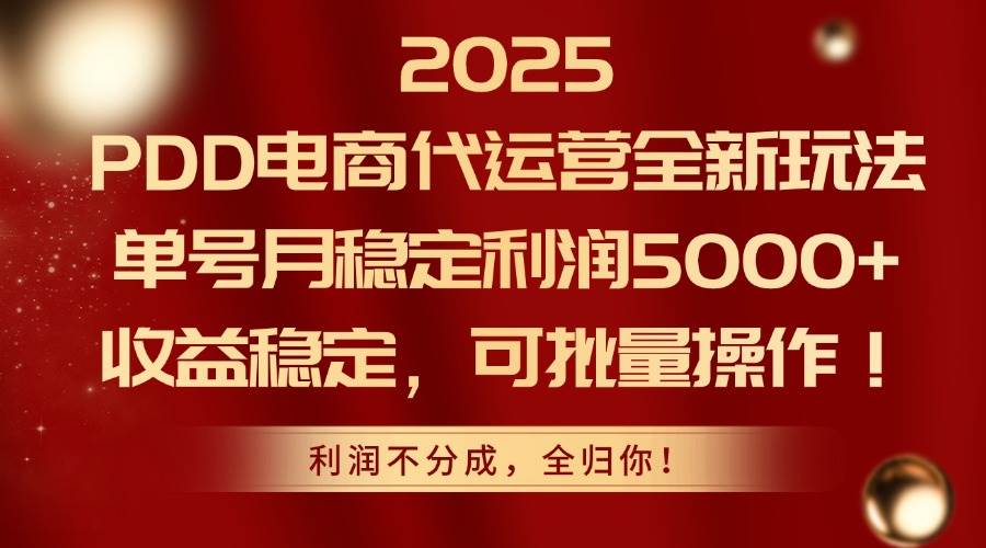 【18009】2025PDD电商代运营全新玩法，单号月稳定利润5000+，收益稳定，可批量操作