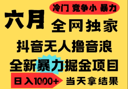 【18301】25年6月高爆抖音无人直播最新撸音浪掘金项目，小白可做，无脑日入1k+，门槛低可批量矩阵【揭秘】