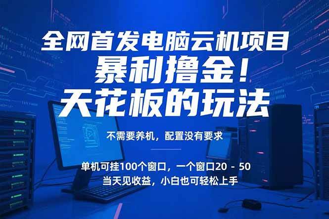 【18594】电脑云机项目 暴力撸金玩法，不需要养机 配置没有要求 单机100个窗口