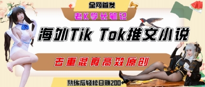 【18784】海外tiktok小说推文暴力项目，高停留率，高转化率，上手后一天搞顿饭钱不是问题