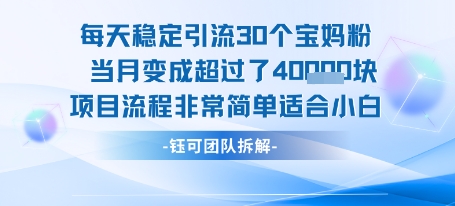 【18868】每天稳定引流30个人 当月变成超过了4个W项目流程非常简单适合小白