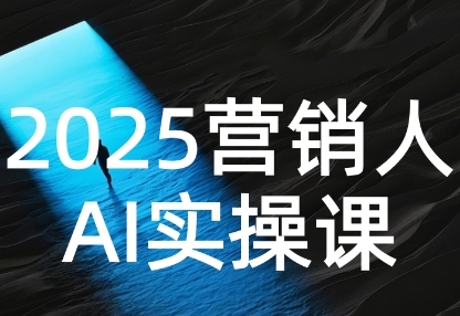 【18884】废话老洪2025营销人Al实操课，AI营销抢跑实战，从Prompt到方案，效率碾压同行