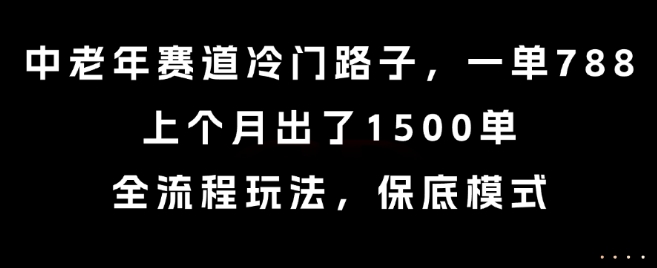 【18921】中老年赛道冷门路子，一单788，上个月出了1500单，全流程玩法，保底模式【揭秘】