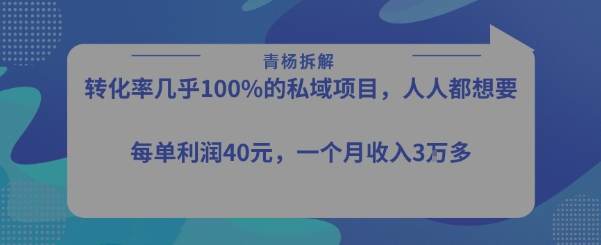 【18940】转化率最高的私域项目，每单利润40-50米，月入过1w