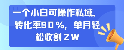 【18957】一个小白可操作私域，转化率90%，单月轻松收割2W