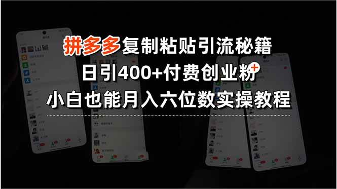【19096】拼多多复制粘贴引流秘籍，日引400+付费创业粉，小白也能月入六位数实操