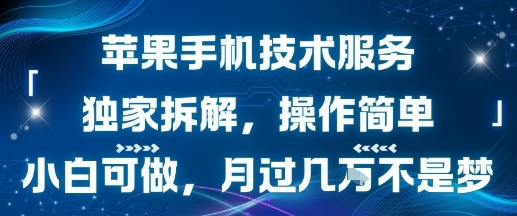 【19112】苹果手机技术服务，独家拆解，操作简单，小白可做，月过1W不是梦