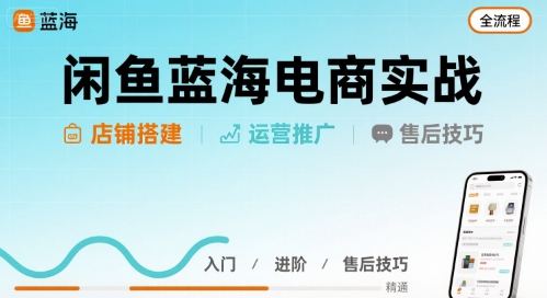 【19179】大飞老师闲鱼蓝海电商实战，店铺搭建运营售后全流程