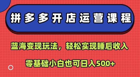 【19350】拼多多开店运营课程：蓝海变现玩法，轻松实现睡后收入，零基础小白也可日入5张