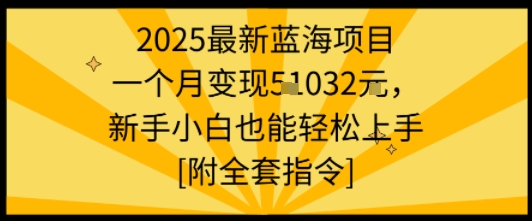 【19572】2025最新蓝海项目一个月变现1w+新手小白也能轻松上手【附全套指令】