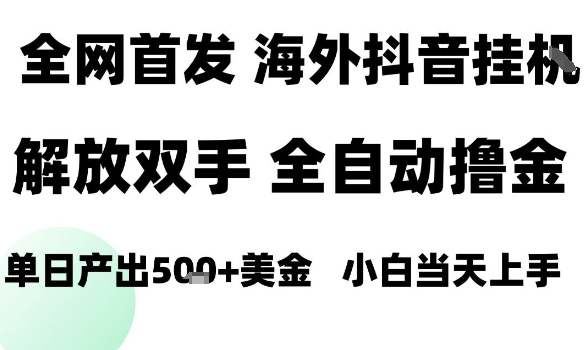 【19723】海外抖音无人直播，单日产出1.5k+，长期稳定，新手可玩，无脑操作【揭秘】