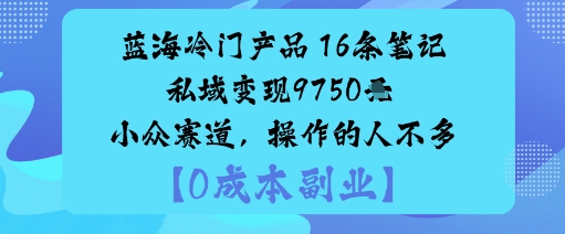 【19966】蓝海冷门产品：16条笔记私域变现9750米小众赛道，操作的人不多