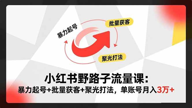 【20295】领航商学院杨国福小红书野路子流量课：暴力起号+批量获客+聚光打法，单账号月入3万+