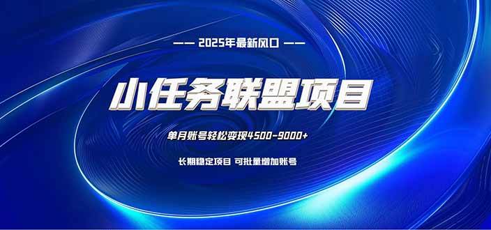 【20361】小任务联盟项目：一台电脑每天只需10分钟，轻松简单稳定