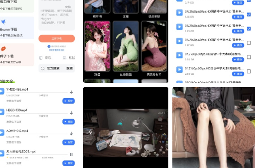 【1392】超强磁力下载闪电下载十边下边播 磁力下载神器